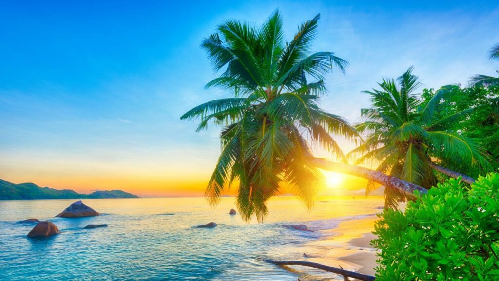 Serene tropical beach with palm trees and crystal clear water
