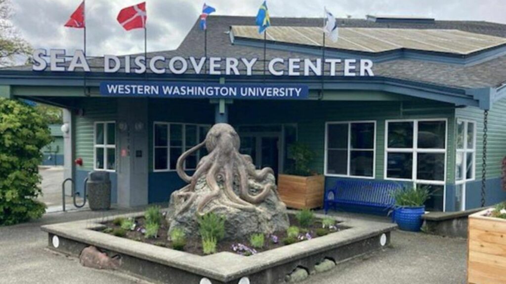 SEA Discovery Center