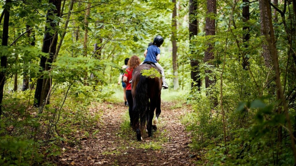 Horseback Riding with Whispering Pines Trail Rides